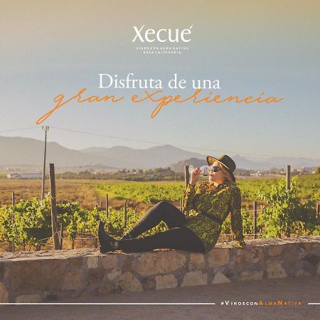 Vinos Xecue Hotel Енсенада Екстериор снимка