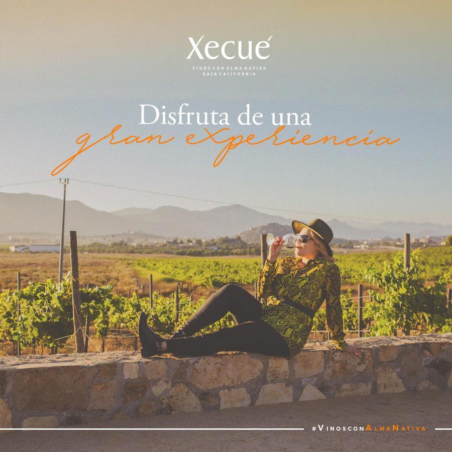 Vinos Xecue Hotel Енсенада Екстериор снимка